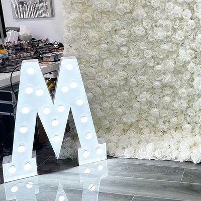 12V Eingangsspannung Große beleuchtete 3D-Buchstaben Heiraten Sie mich LED-Markißschild für Hochzeit